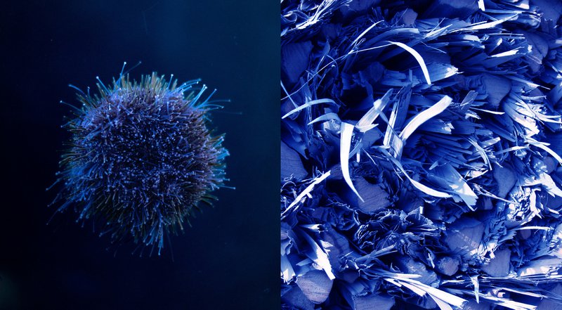 Teulo Talks: Hybrid Habitats: The Emergence of New Bio-Industrialisation image