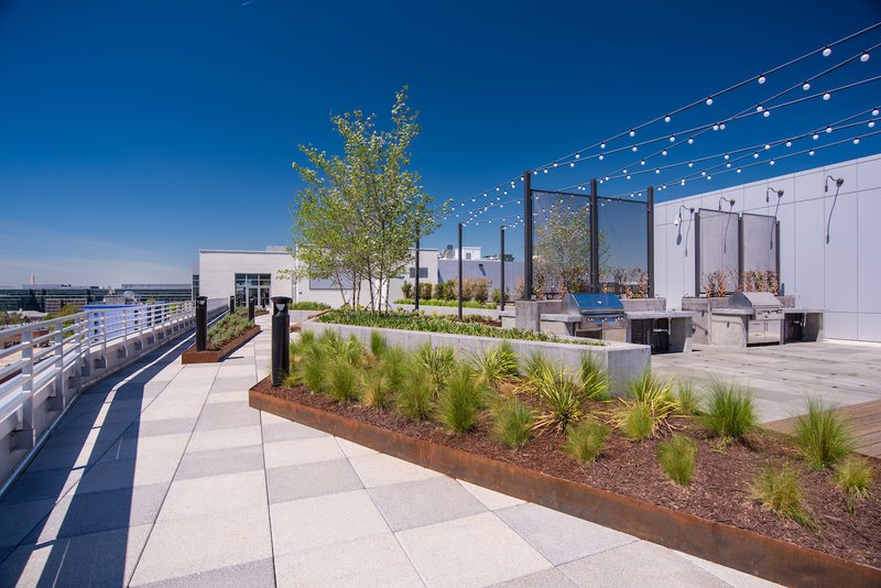 Allco: Exploring Green, Warm, and Purple Roof Systems: Designing for Performance and Sustainability. image