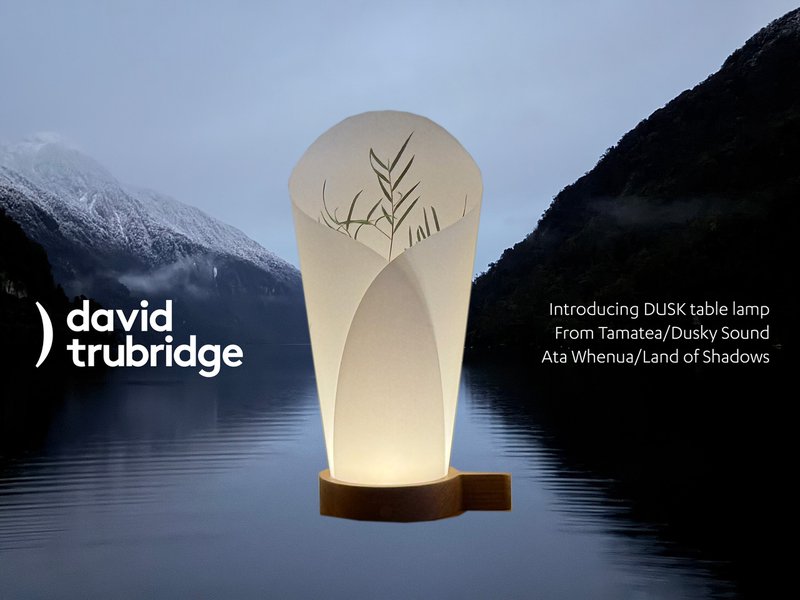 Lunch & Learn David Trubridge image