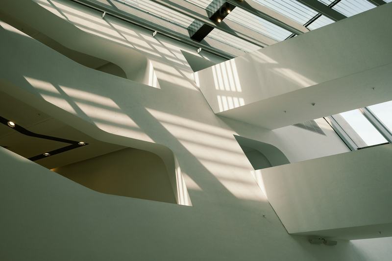 Teulo Talks | Architectural Neuroimmunology: Examining the Brain–Body Connection in the Built Environment image