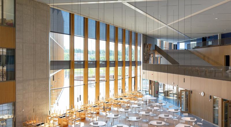 Teulo Ed / Increasing Design Freedom image